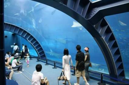 Okinawa Churaumi Aquarium:    