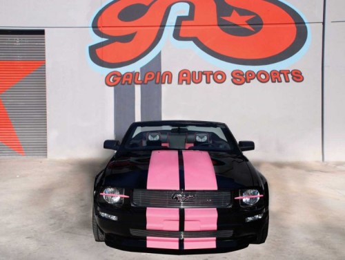 Galpin Warriors Pink Mustang