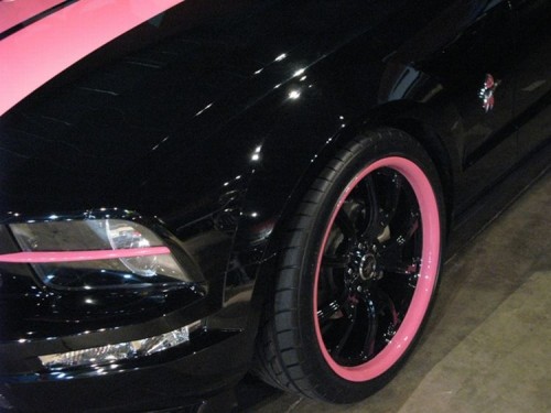 Galpin Warriors Pink Mustang