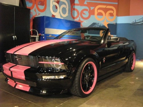 Galpin Warriors Pink Mustang