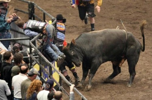   Madison Square Garden    