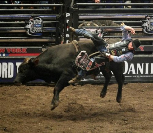   Madison Square Garden    