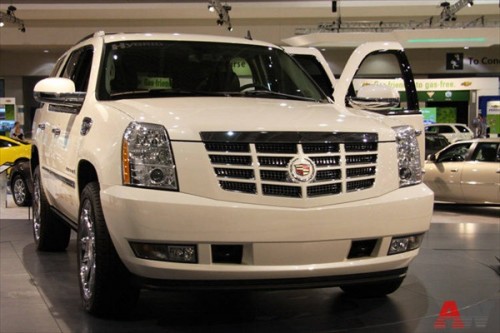 Washington Auto Show 2008 (19 )