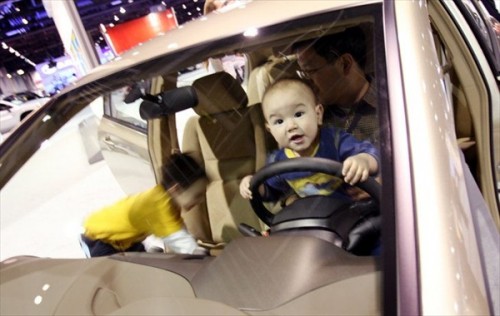 Washington Auto Show 2008 (19 )