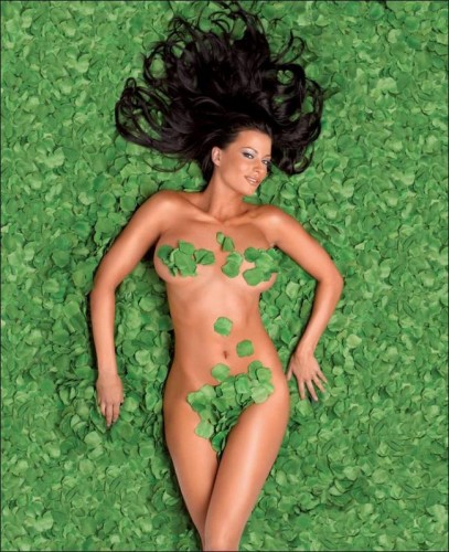  Candice Michelle (13 )