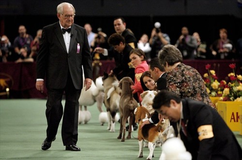   - Westminster Kennel Club 2008 (23 )