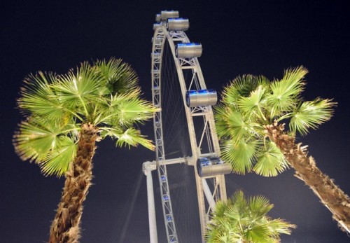 Singapore Flyer:      