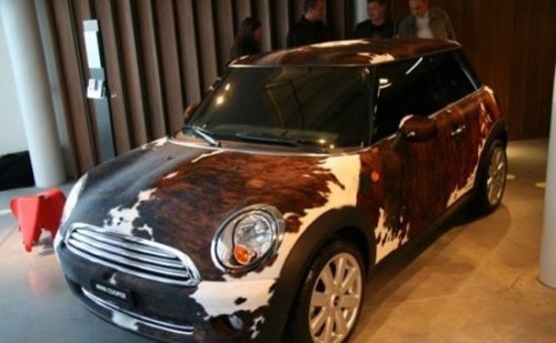 Mini Cooper (8 )