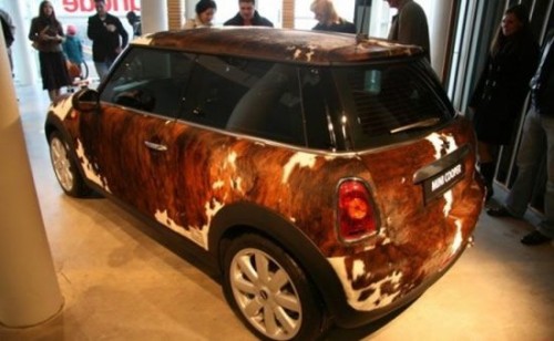 Mini Cooper (8 )