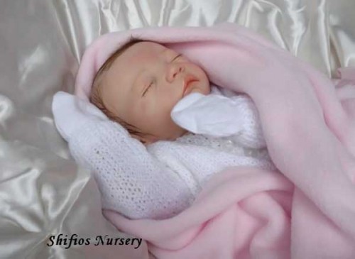 Reborn Baby:    Ebay