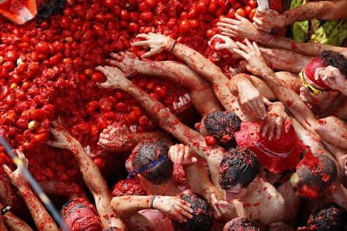    (La Tomatina)  