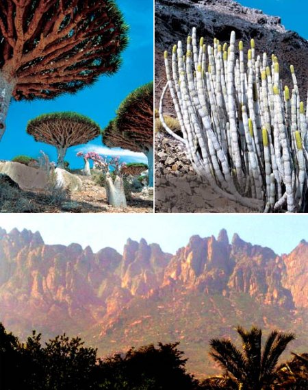  C (Socotra)