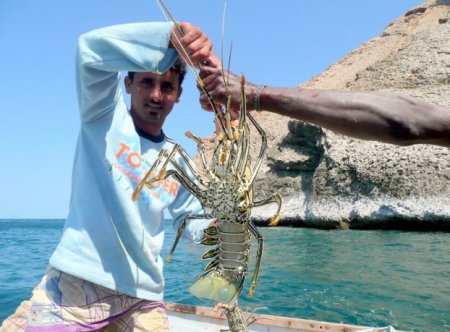  C (Socotra)