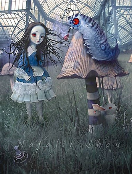 Natalie Shau (14 )