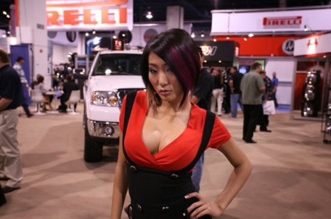 SEMA-2008. 