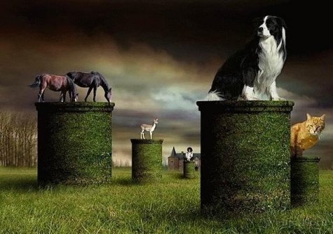   Ben Goossens