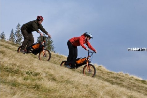 Folding Bike Bag -  -