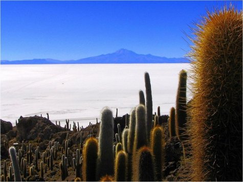 Salar de Uyuni -    