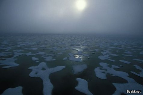    Paul Nicklen