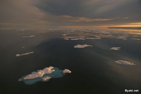    Paul Nicklen