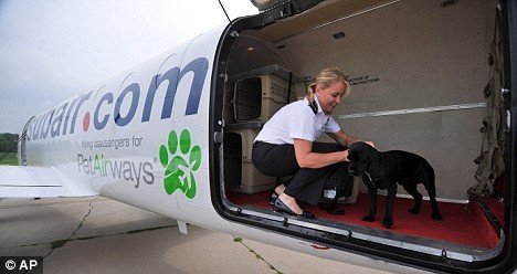 Pet Airways - ,   