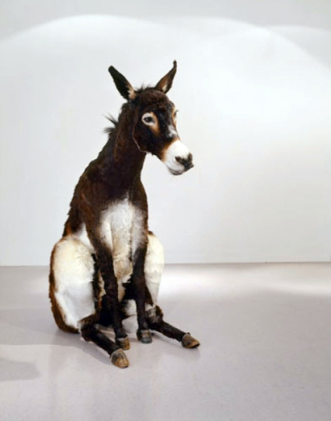  Maurizio Cattelan