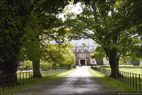 Killarney National Park