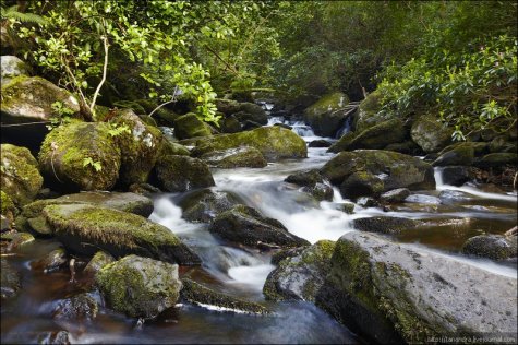 Killarney National Park