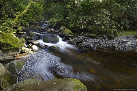 Killarney National Park