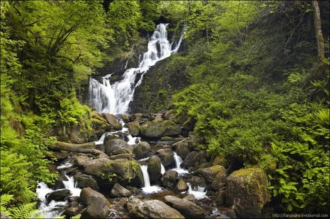 Killarney National Park