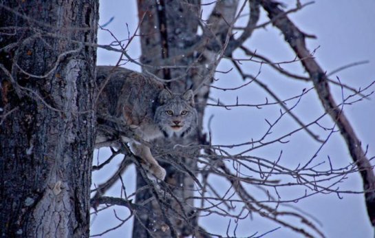       National Geographic 2010 