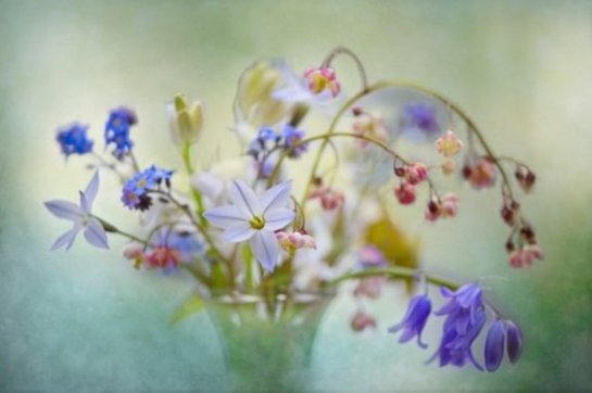    (Mandy Disher)